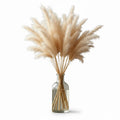 Decorative Dried Pampas Bundle in Natural
